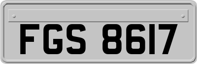 FGS8617