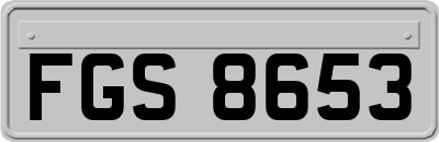 FGS8653