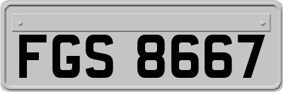 FGS8667
