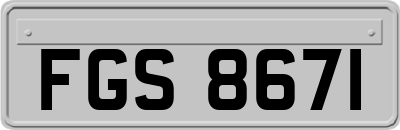 FGS8671