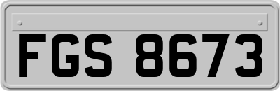 FGS8673