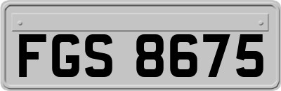 FGS8675