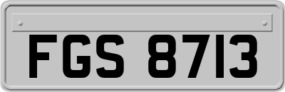 FGS8713
