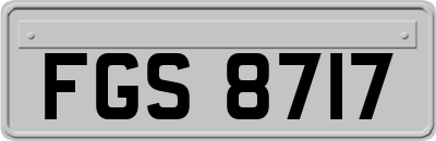 FGS8717