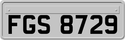 FGS8729