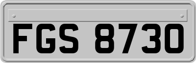 FGS8730