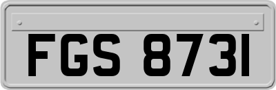 FGS8731