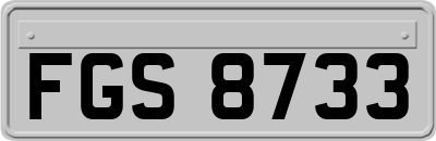 FGS8733