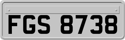 FGS8738