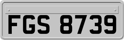 FGS8739