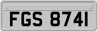 FGS8741