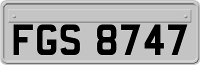 FGS8747