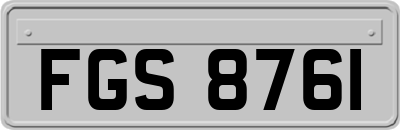 FGS8761