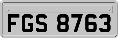 FGS8763