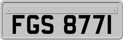 FGS8771