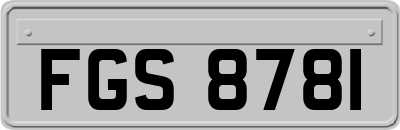 FGS8781