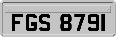 FGS8791