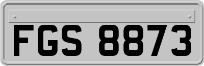 FGS8873