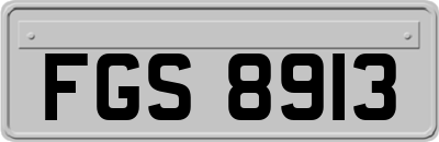 FGS8913