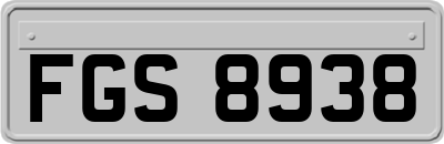 FGS8938