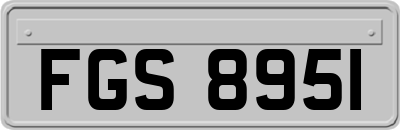 FGS8951
