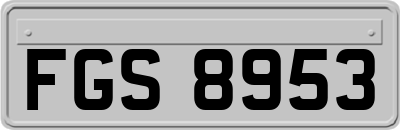 FGS8953