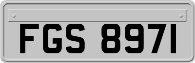 FGS8971