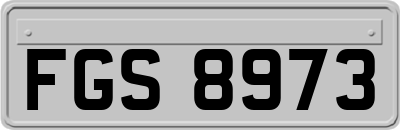 FGS8973