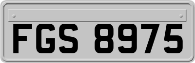 FGS8975