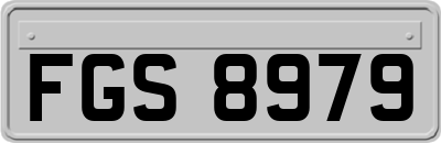 FGS8979