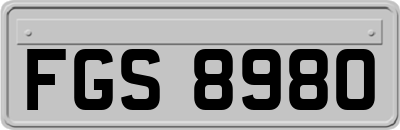 FGS8980