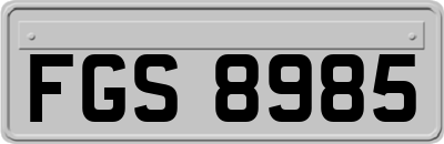 FGS8985