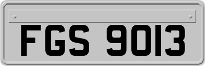 FGS9013