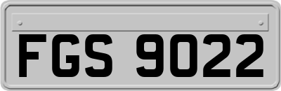 FGS9022