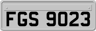 FGS9023