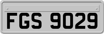 FGS9029