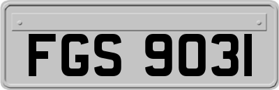 FGS9031