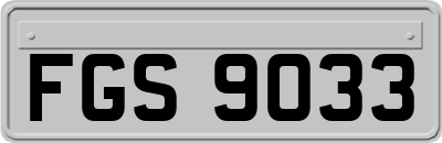 FGS9033