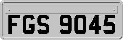 FGS9045