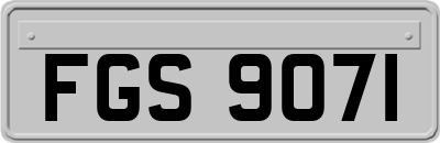 FGS9071