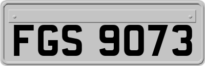 FGS9073