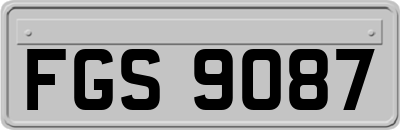 FGS9087