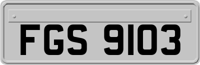 FGS9103