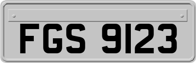 FGS9123