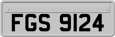 FGS9124
