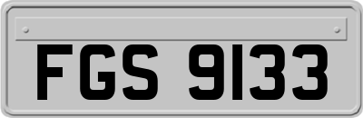 FGS9133