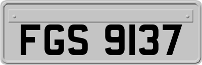 FGS9137