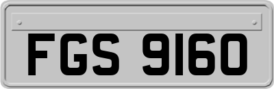 FGS9160