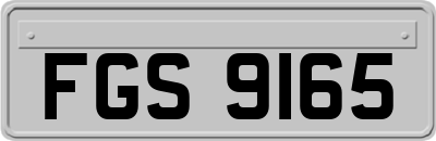 FGS9165