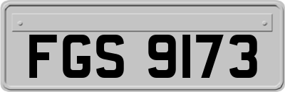 FGS9173